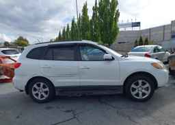2009 HYUNDAI SANTA FE SE