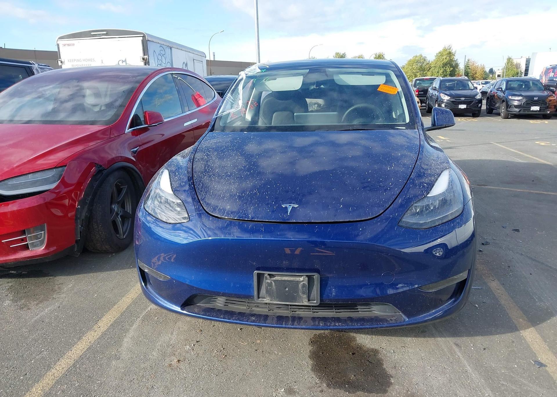 2023 TESLA MODEL Y
