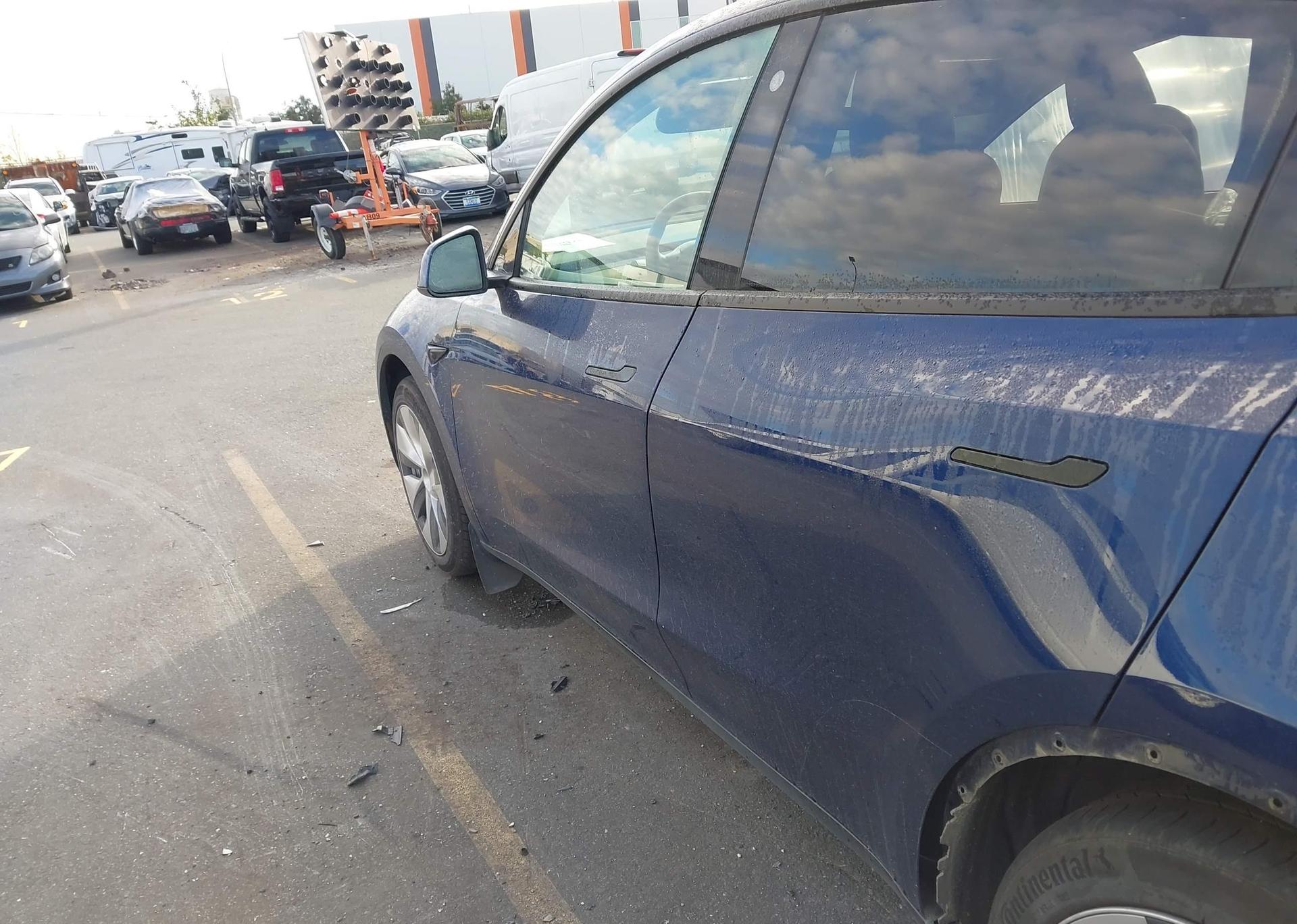 2023 TESLA MODEL Y