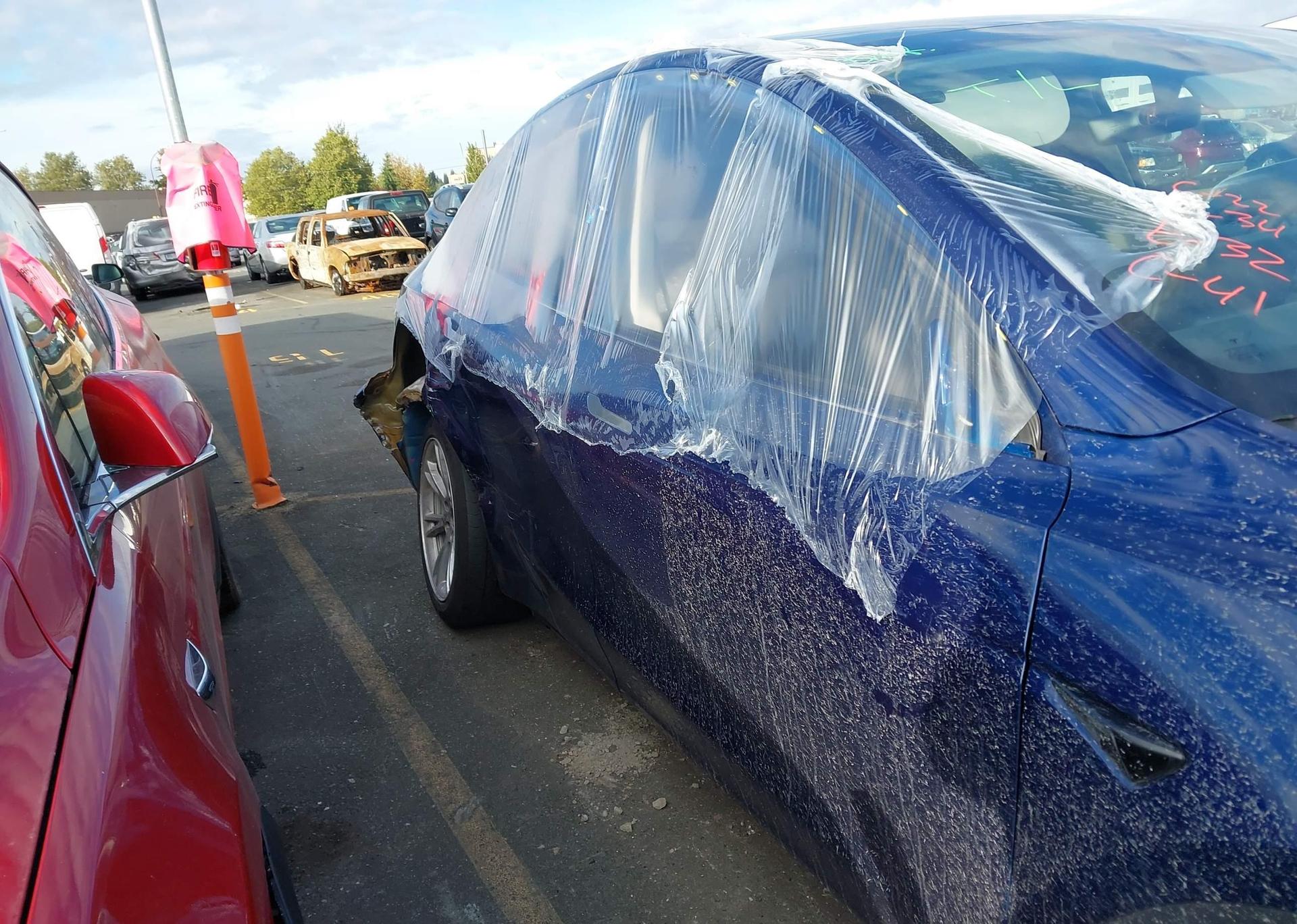 2023 TESLA MODEL Y