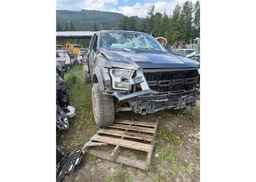 2019 FORD F150