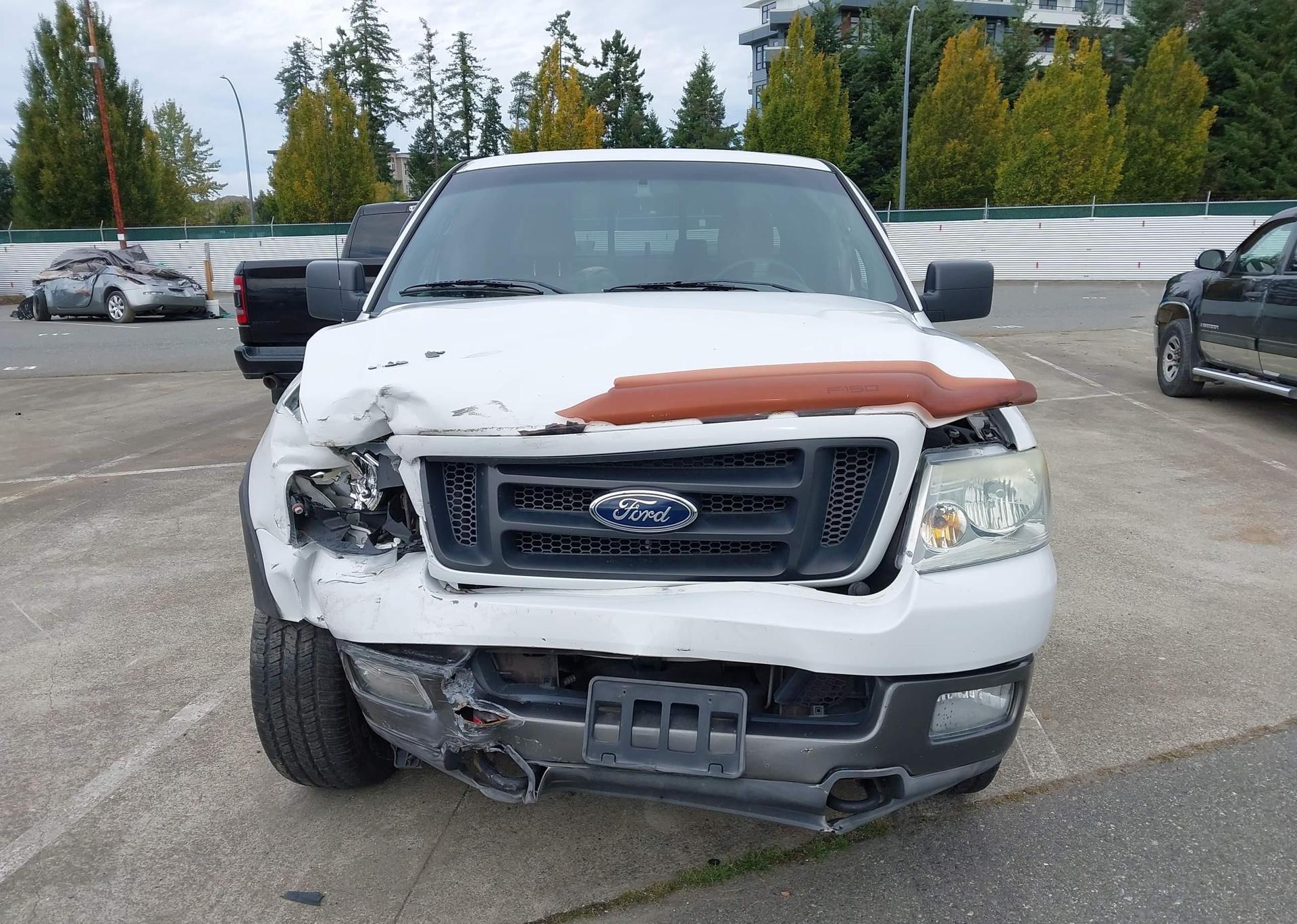 2004 FORD F150 SUPERCREW