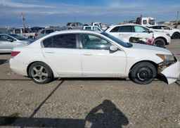 2008 HONDA ACCORD EX-L