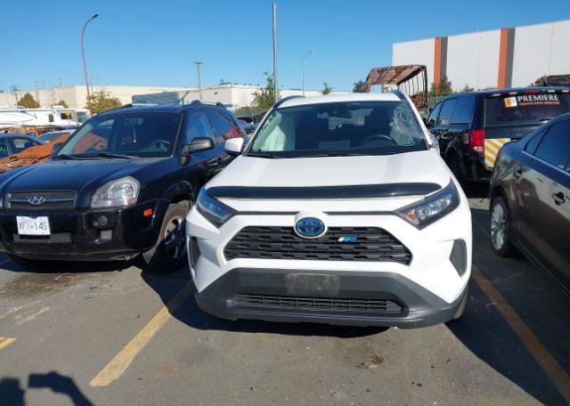 2020 TOYOTA RAV4 LE